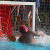 Wasserball Poseidon Hamburg Masters Kienemann